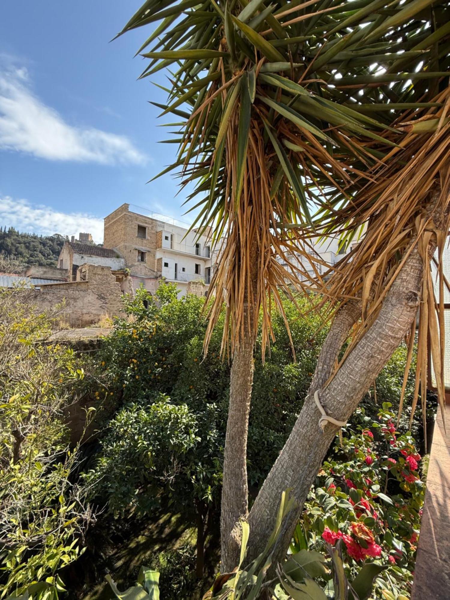 La Lanciolla Apartment Maddaloni Luaran gambar