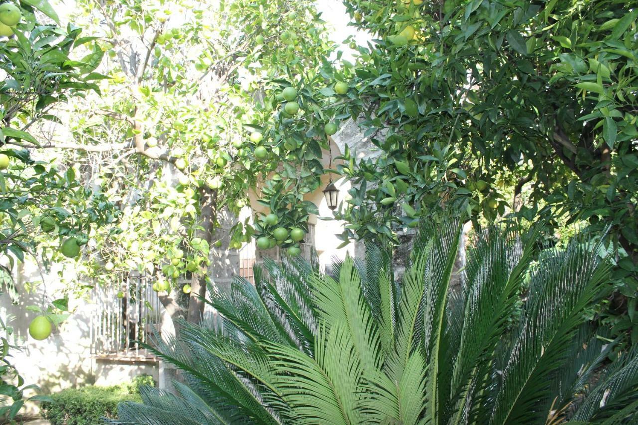 La Lanciolla Apartment Maddaloni Luaran gambar